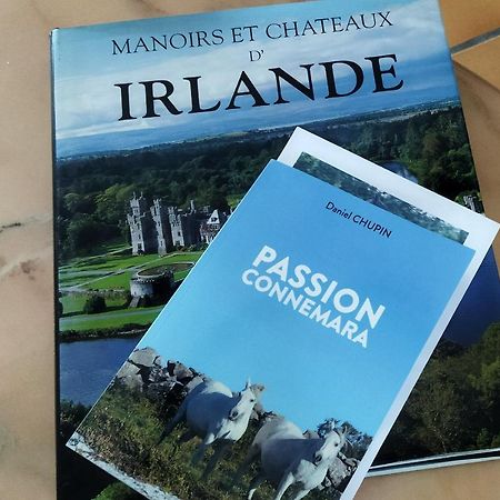 Maison De Campagne Au Coeur D'Un Elevage De Poneys Connemara Le Landreau Eksteriør billede